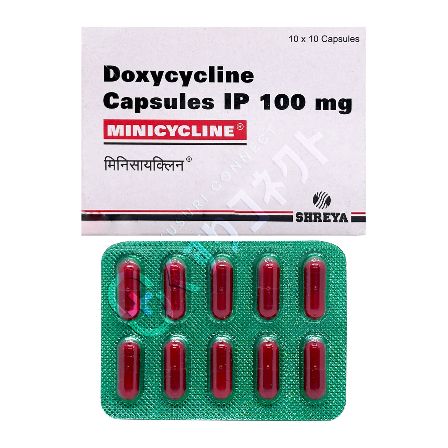 ミニサイクリン 100mg（ビブラマイシンジェネリック）