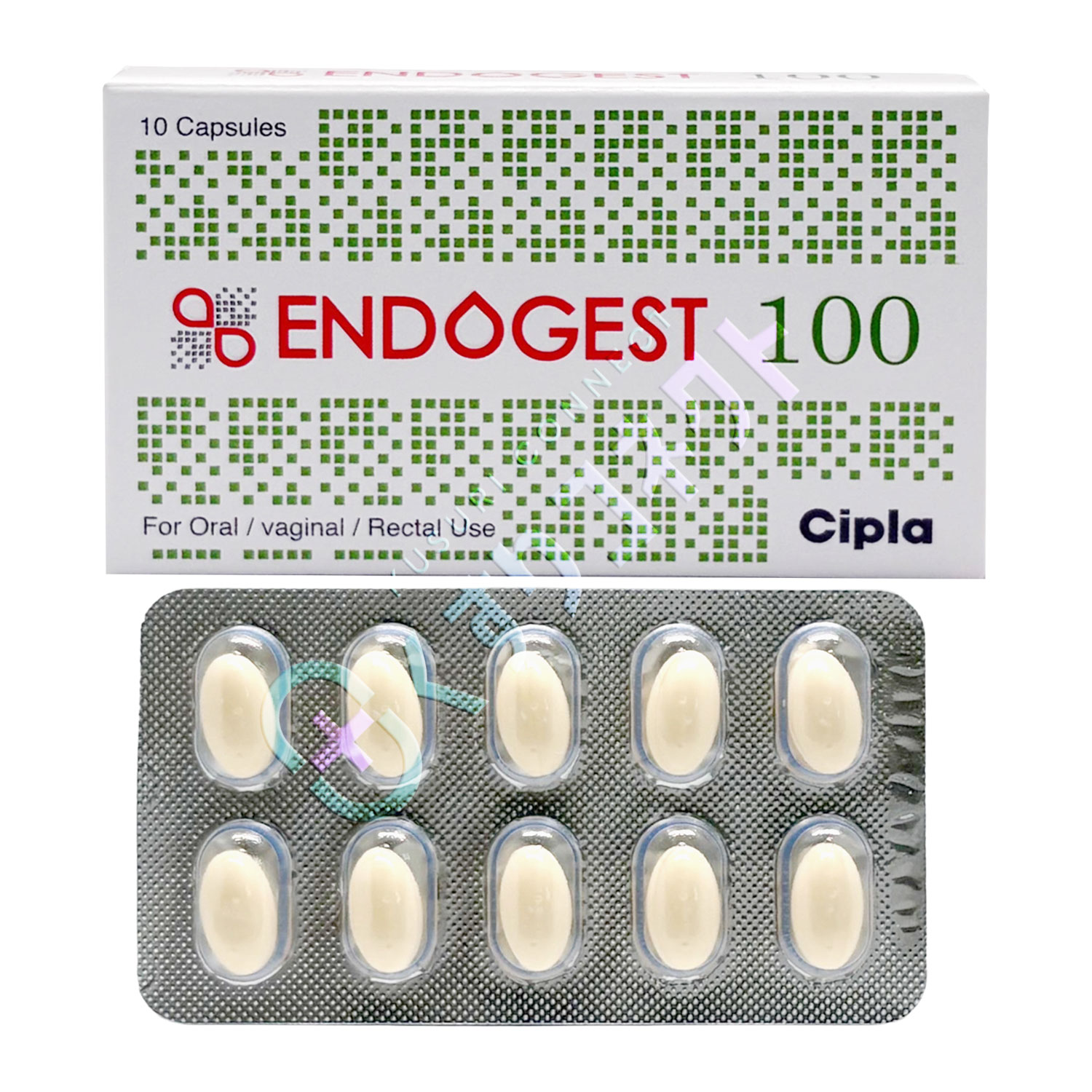 エンドゲスト100mg【10カプセル】（プロゲステロン 100mg）