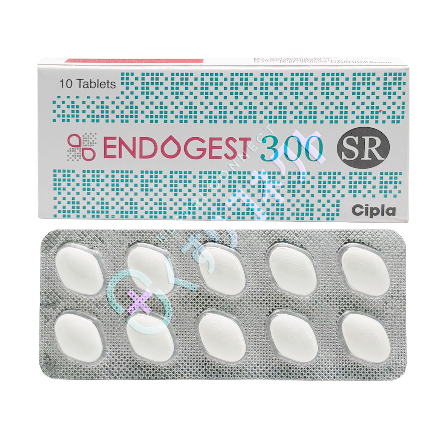 エンドゲストSR【10錠】（プロゲステロン 300mg）