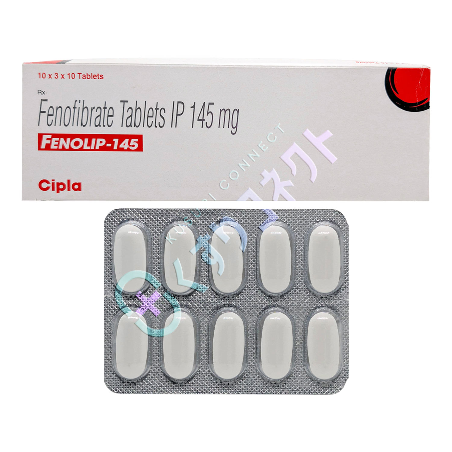 フェノリップ 145mg【10錠】（フェノフィブラート）