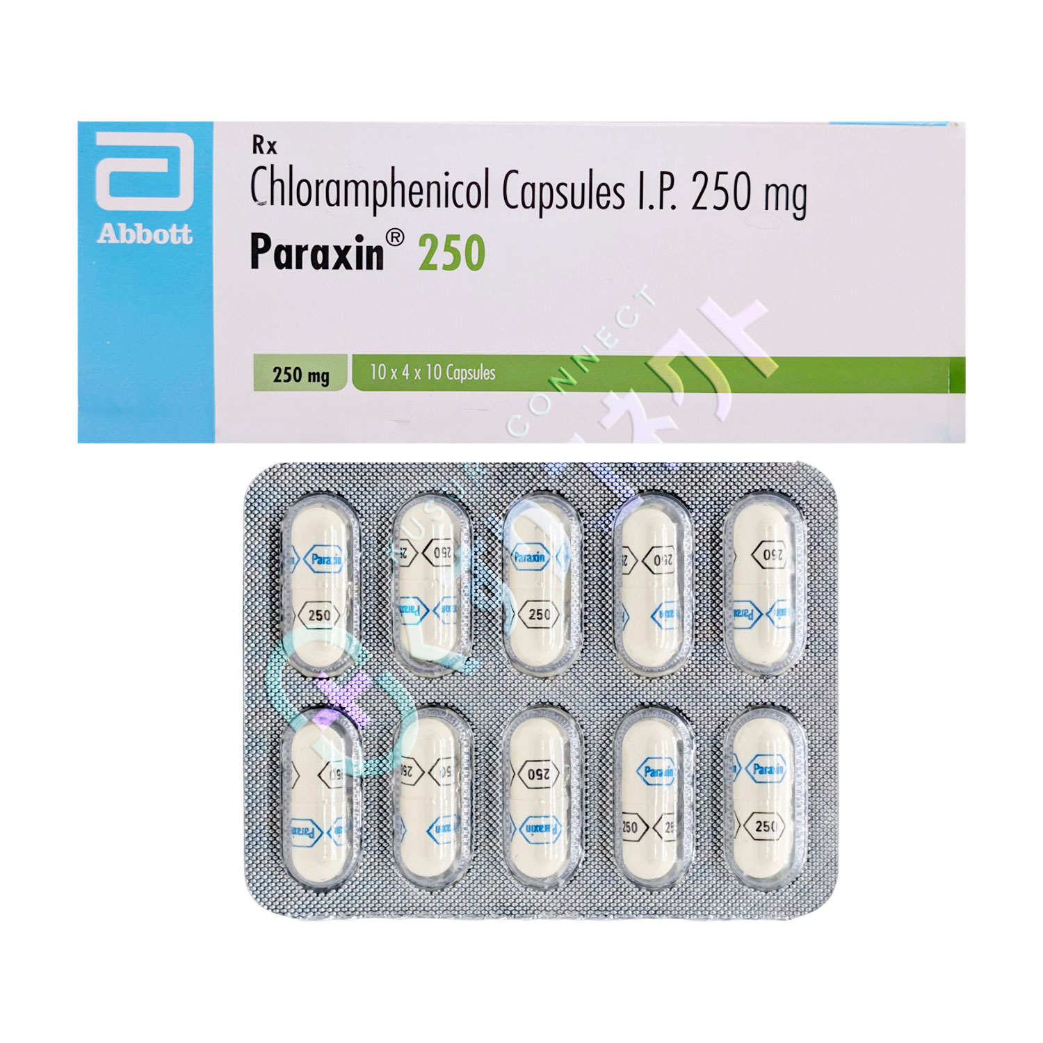 パラキシン【10カプセル】（クロラムフェニコール 250mg）