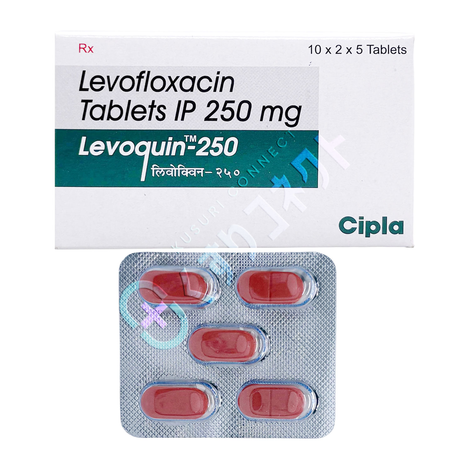 レボフロキサシン 250mg【5錠】（レボクイン）