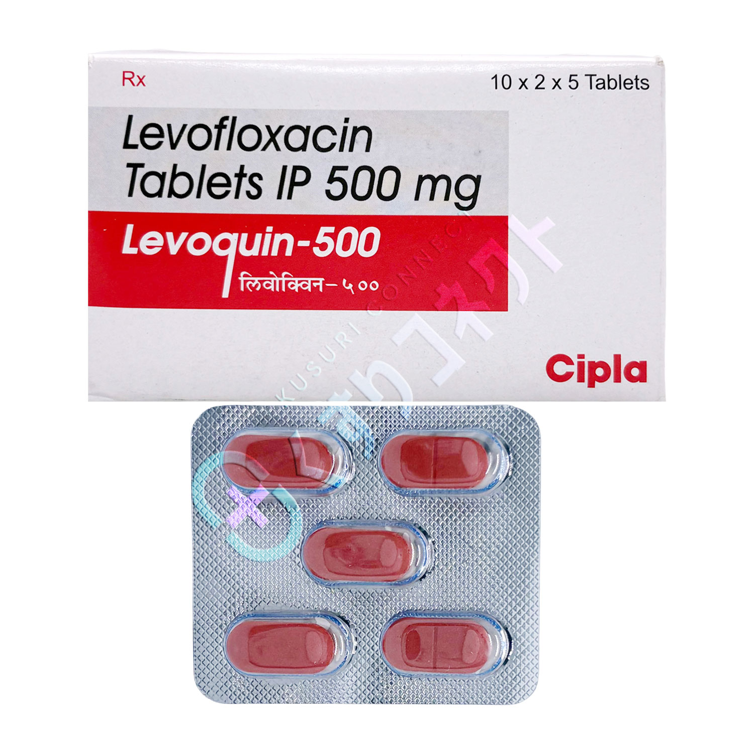 レボクイン 500mg【5錠】（レボフロキサシン）