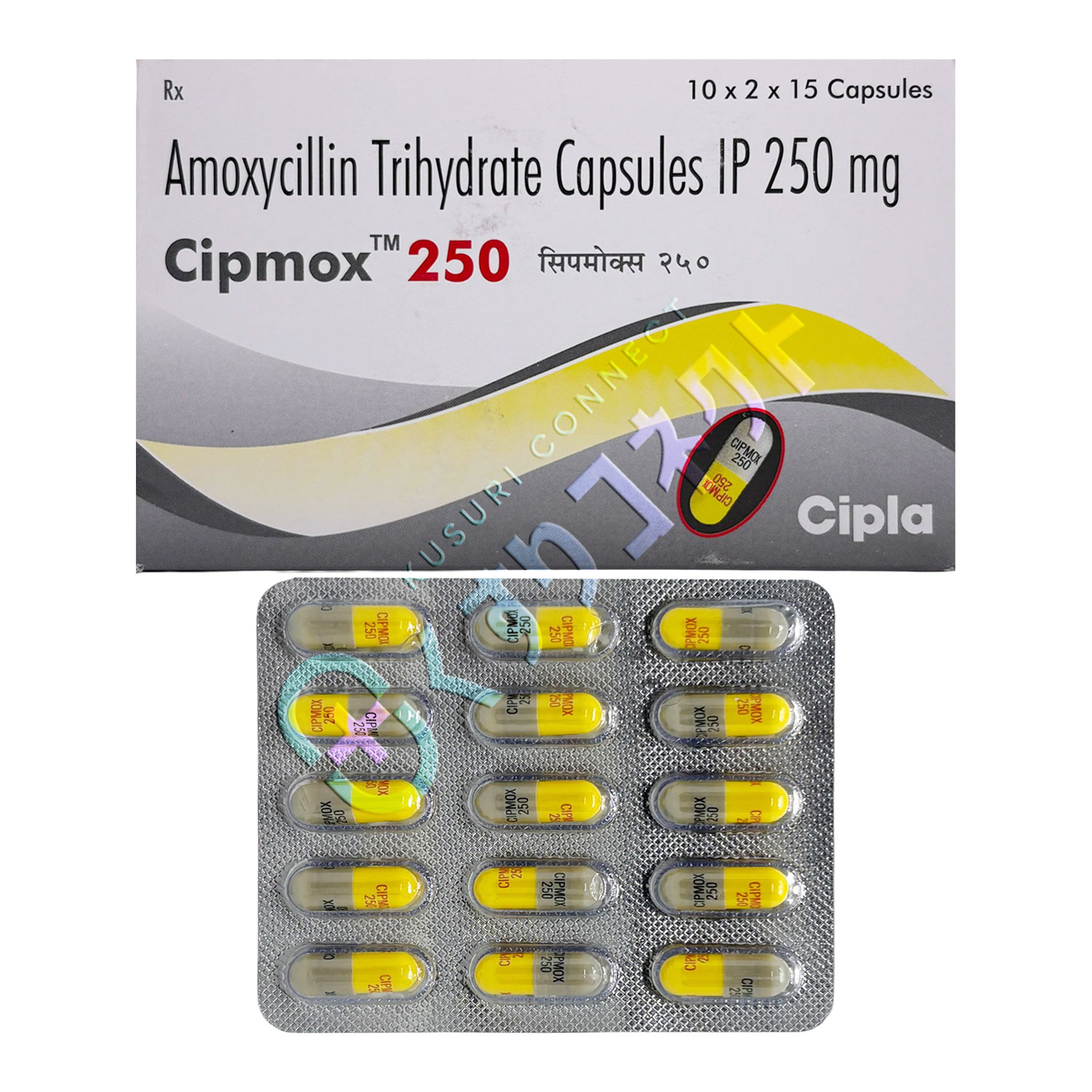 シプロモックス 250mg【15錠】（アモキシシリン）