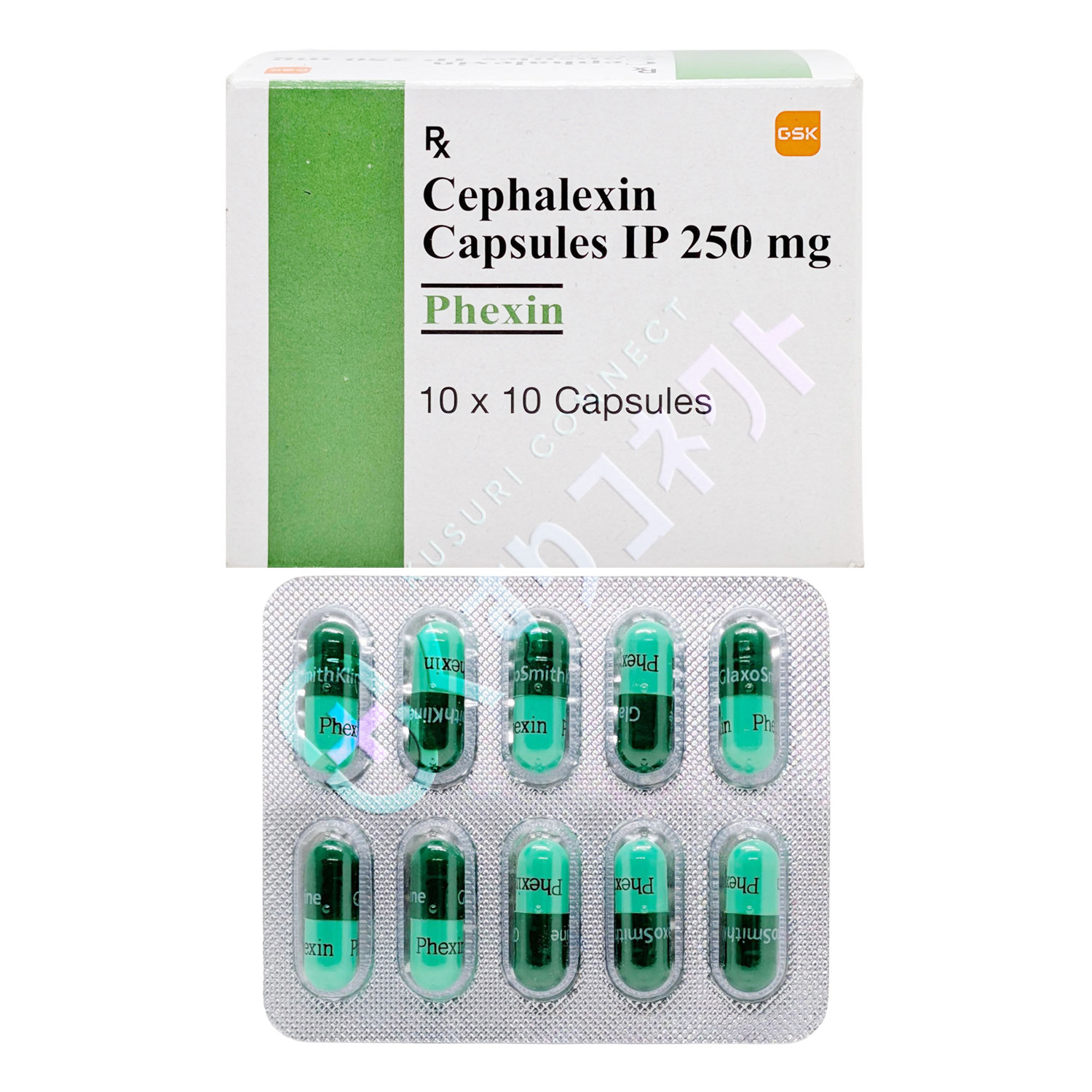 フェキシン 250mg【10カプセル】（セファレキシン）