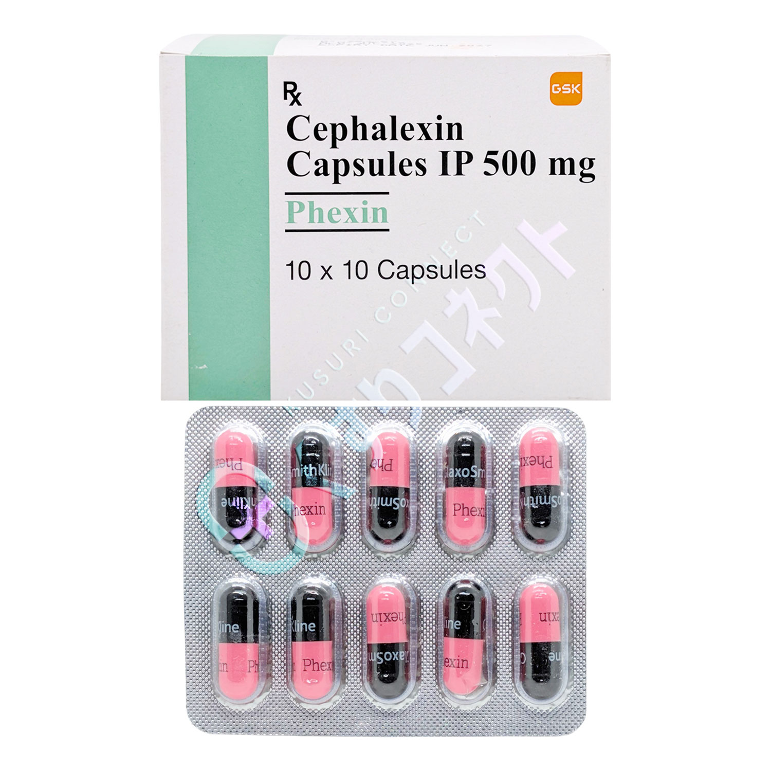 フェキシン 500mg【10カプセル】（セファレキシン）