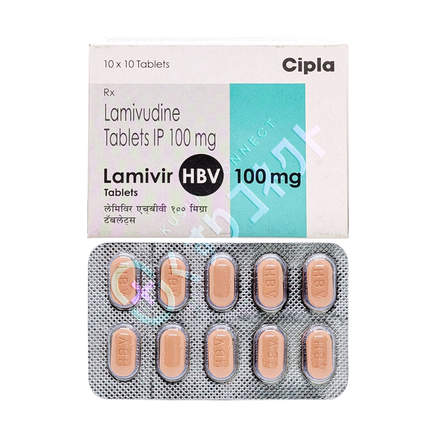ラミビルHBV 100mg【10錠】（ラミブジン）