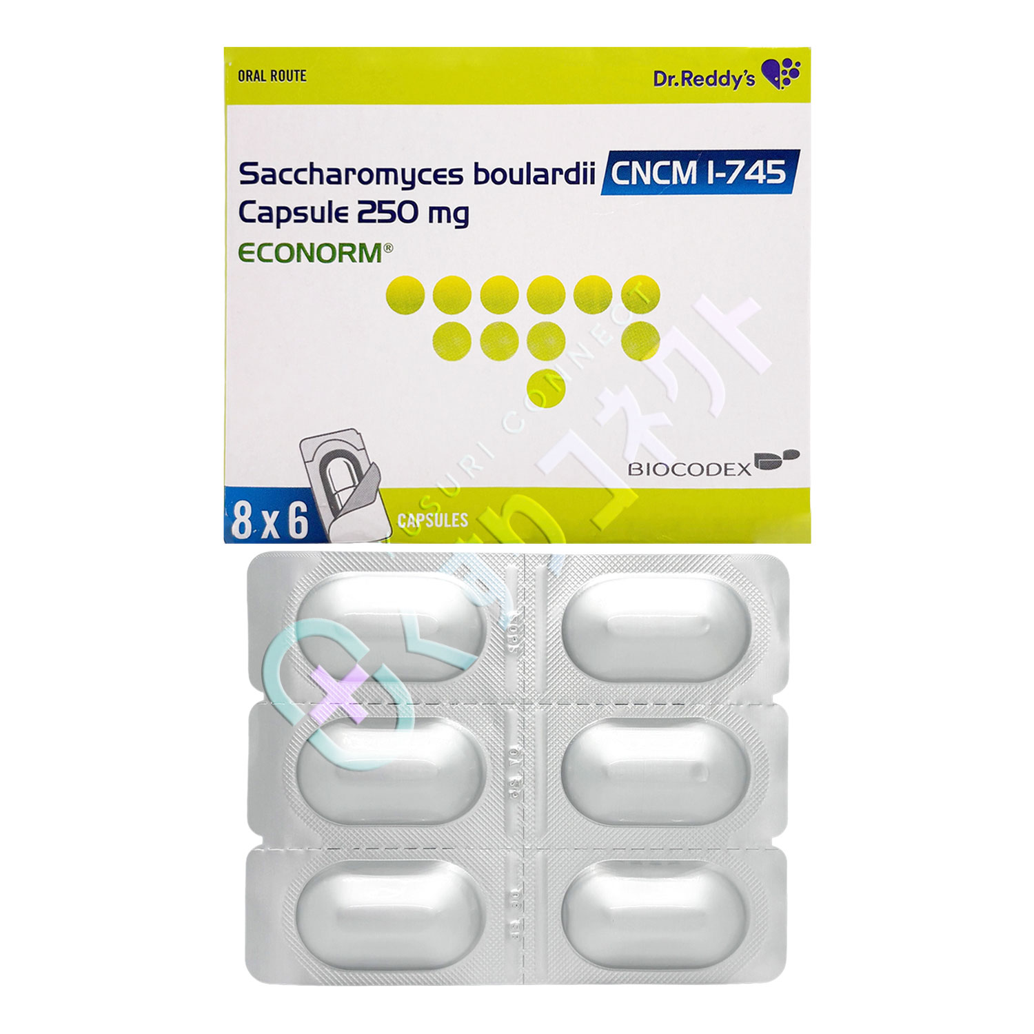 エコノーム 250mg【6カプセル】（サッカロミセス・ブラウディ）