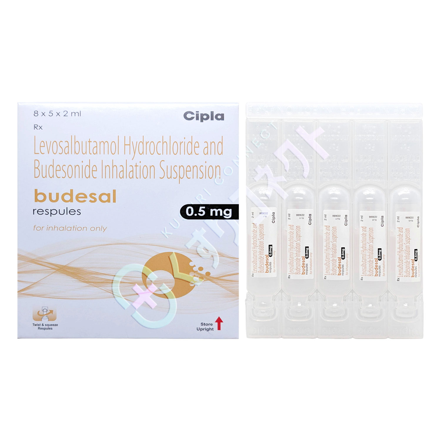 ブデサール吸入液 0.5mg【5パック】（ブデソニド・サルブタモール）